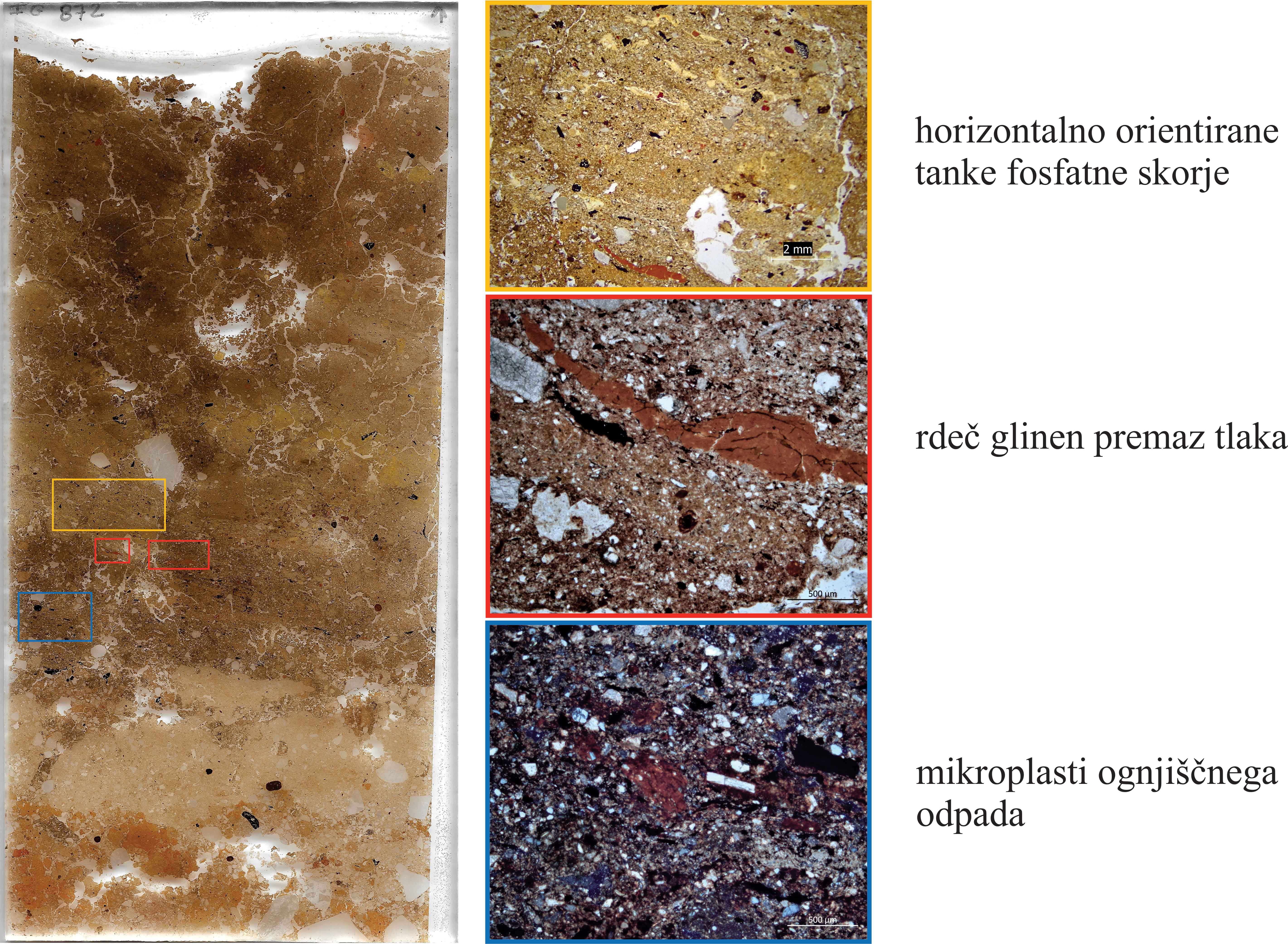Primer identifikacije mikromorfoloških komponent v zbrusku.