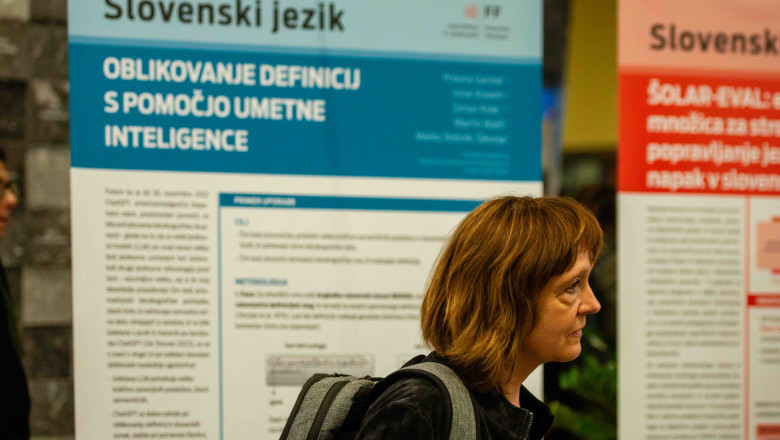 Dnevi ZIFF 2024, utrinek. Foto Franci Iskra.