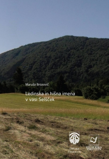 Ledinska in hišna imena v vasi Selšček